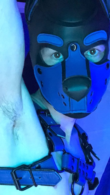 Pup Scrote onlyfans porn