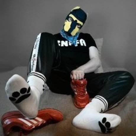 Puppy Timbo onlyfans content