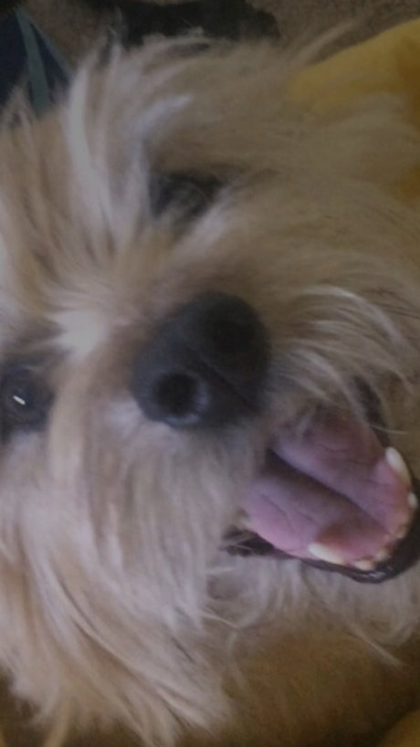 Caleb Brady naked onlyfans pics