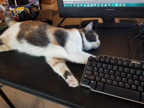 R2DT leaked naked onlyfans