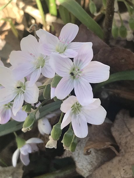 Renn leaked onlyfans naked