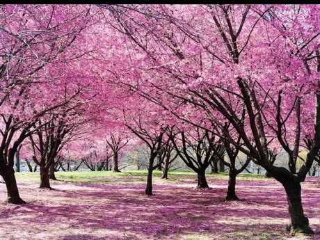 Quinn Hale leaked onlyfans sextape