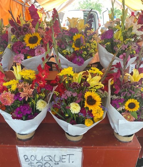 quinnnnx no ppv xxx onlyfans