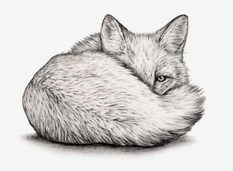 Quinn Fox new onlyfans leaks