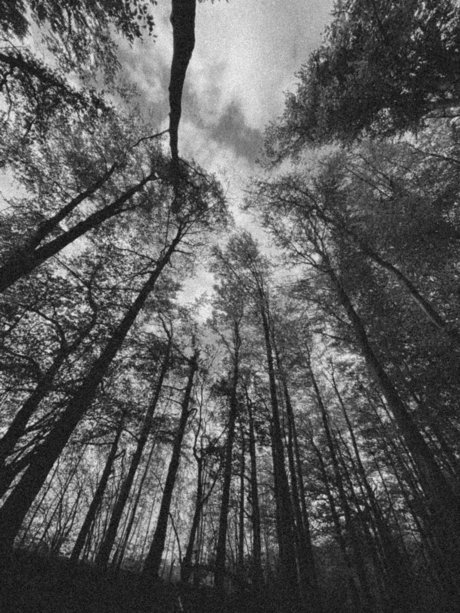 Leilalu nudes onlyfans