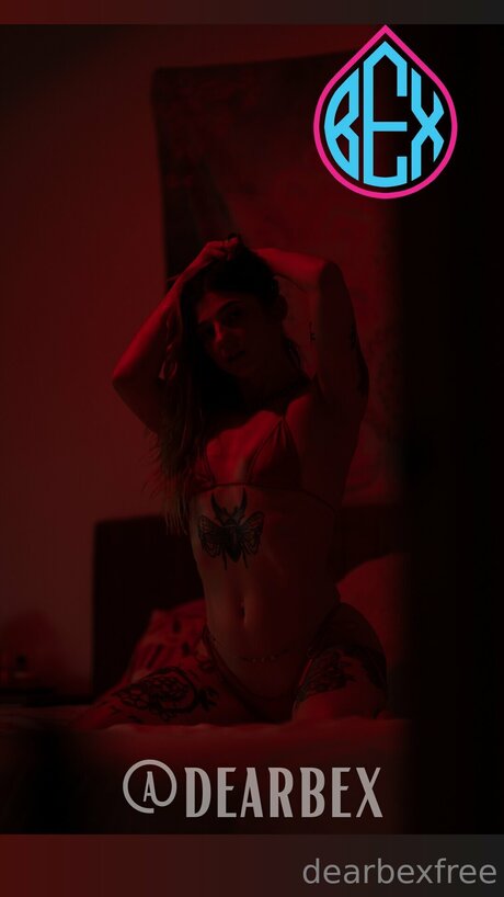_dearbexfree onlyfans images