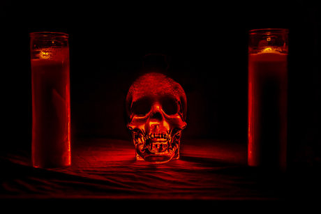 Detroitdogshit leak onlyfans nude