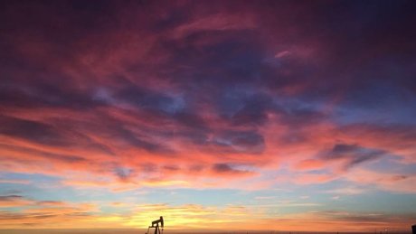 DonnyD leaked nudes onlyfans