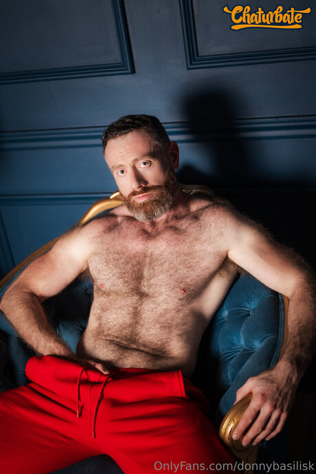 DonnyBasilisk leaked only fans