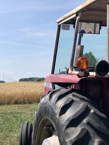 Dmich onlyfans leak nudes