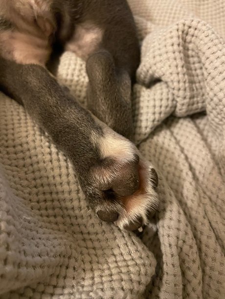 Stepford wife onlyfans leaked naked