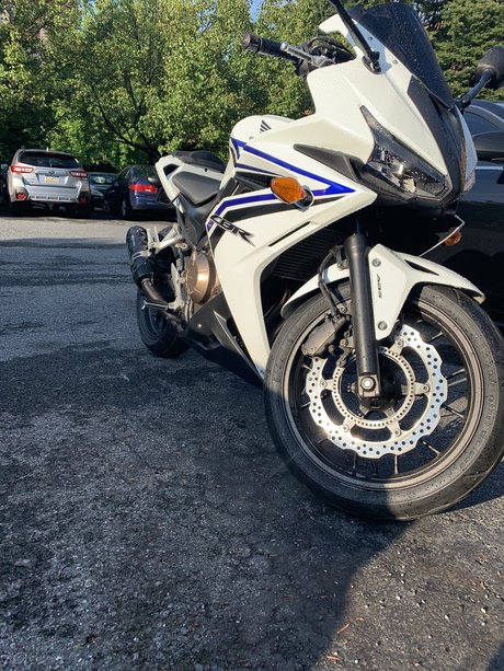 Anthony Pappalardo ass onlyfans