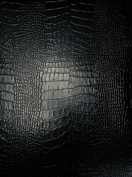 Rafael Zorzella leaked onlyfans nude