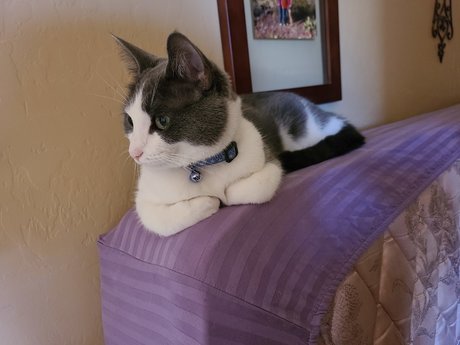 EdenEspi only fans review