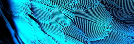 Dane Del Rey only fans xxx