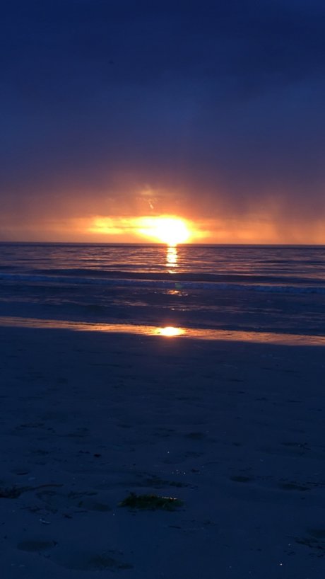 Disturbed princess_ xxx onlyfans