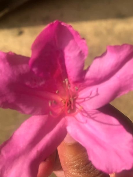 Milkkkkkmarie_ onlyfans post