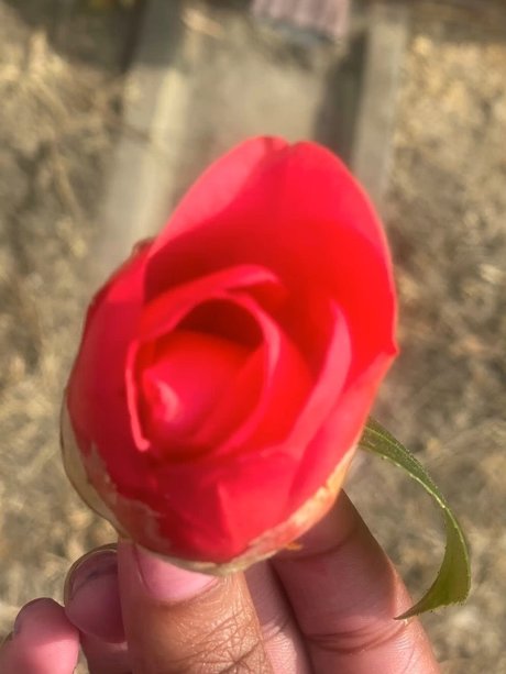 Milkkkkkmarie_ nude only fans