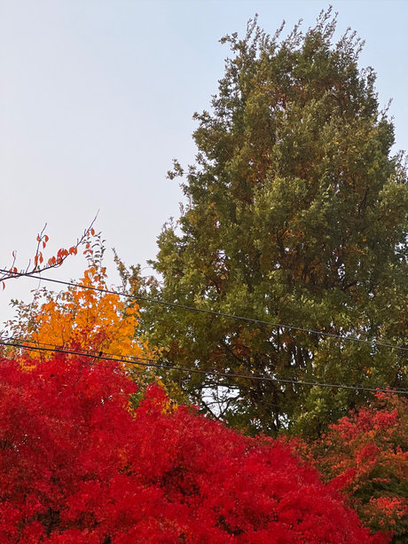 Storytime onlyfans leaks.