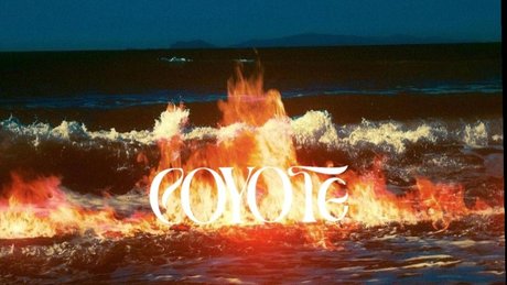 c o y o t e only fans pic