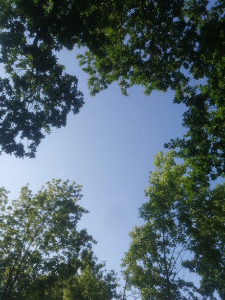 Ravenica onlyfans post