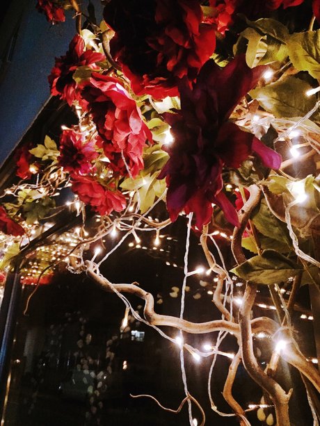 Raptor toes new onlyfans leak