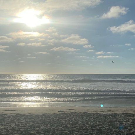 ricanheaux only fans.