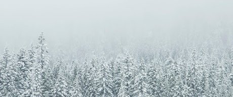 Anton Cash onlyfans model images