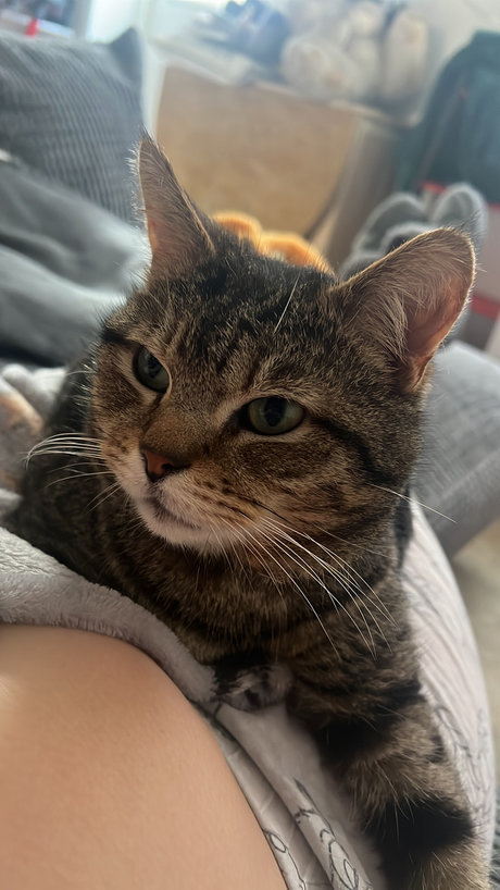 RedHairedKitten nude porn onlyfans