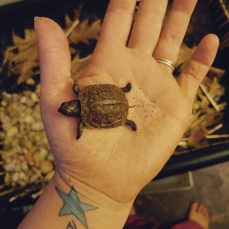 Rebel girl next door porn onlyfans