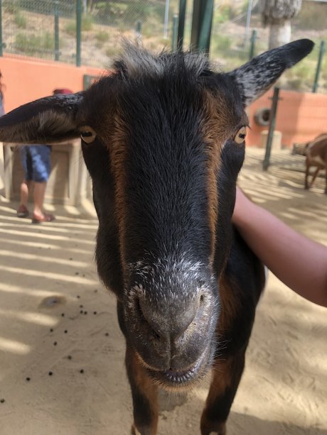 Couple Adventures onlyfans leaks free