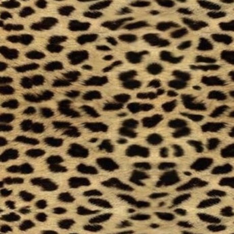 Rock Bitch naked only fans