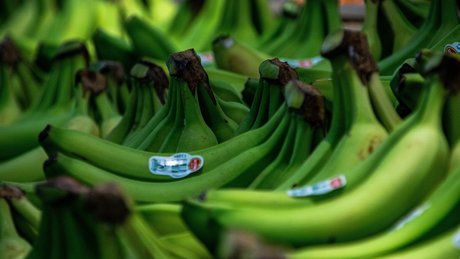 Robert Fretz onlyfans leak ass