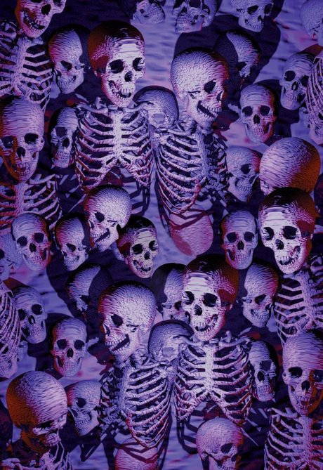 Ringmaster Sani leak only fans