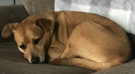 Eric Mel onlyfans nudes porn