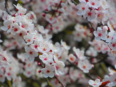 Ruhe Eva onlyfans leajs