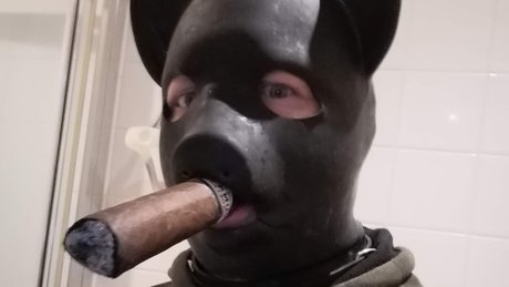RUBBER CIGAR PIG fans only