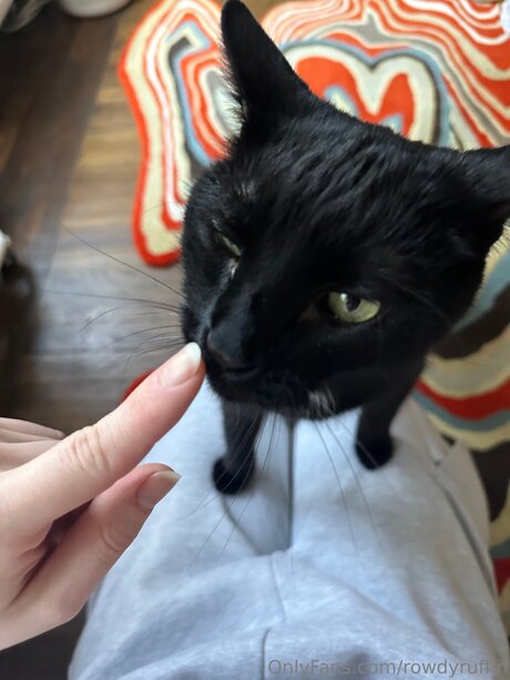 petite bbc onlyfans adult picture