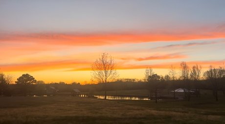 Rose Ink onlyfans leaked free