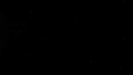 Busty Babe_ onlyfans leaked free