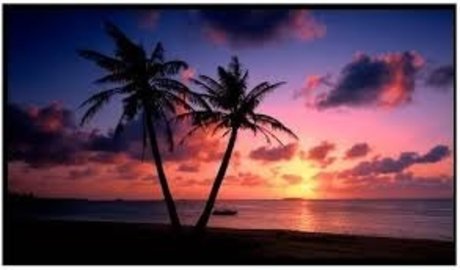 SaftigerDaddy onlyfans photos