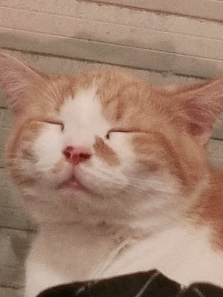 Safir Babe onlyfans sex leak