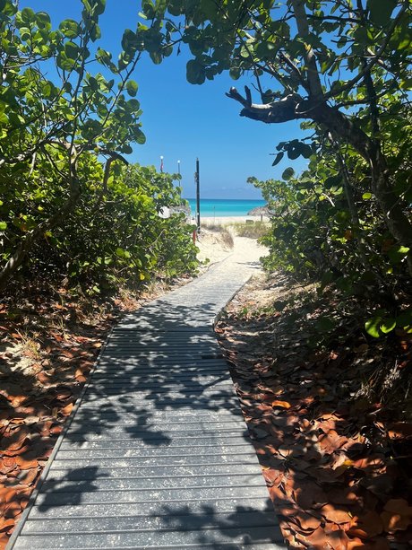 Ryan Barker onlyfans nudes