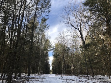 sabby naked leaked onlyfans