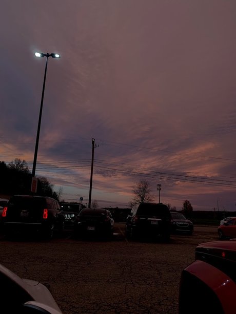 _FREE DMS_ free onlyfans