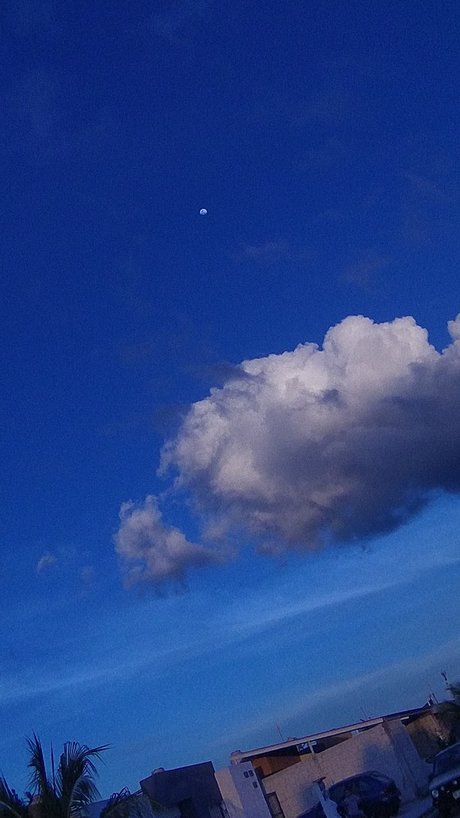 Blue Sky leaks only fans