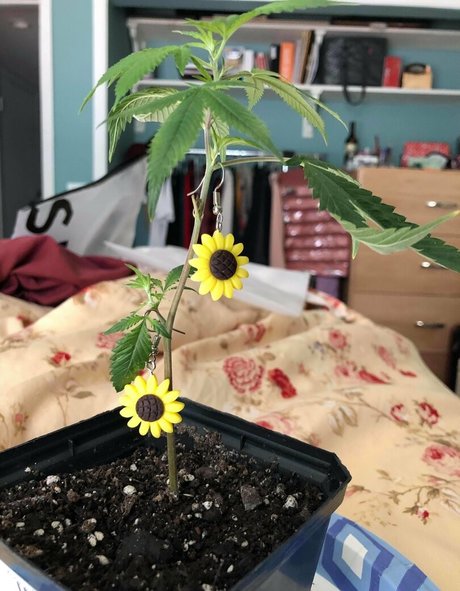 chubbychunky onlyfans nudes