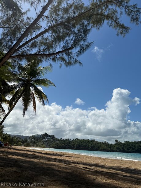 rikakodesu Profile pic