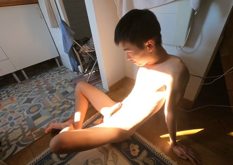 stallion bunny onlyfans