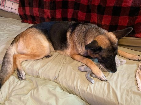 Sassy Jassy onlyfans leaked nudes